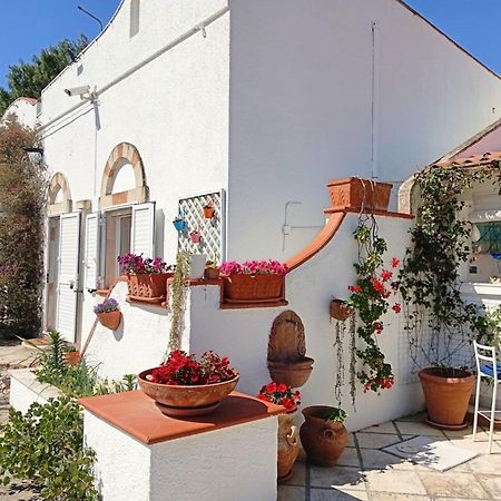 مارودجو B&B Le Vele المظهر الخارجي الصورة