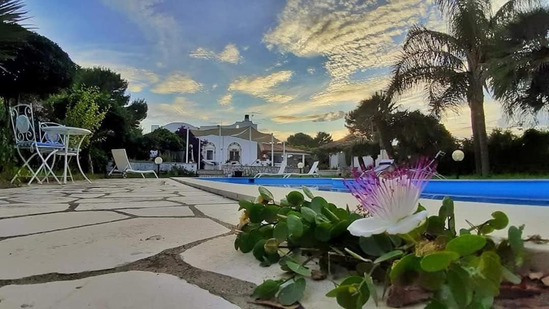 مارودجو B&B Le Vele المظهر الخارجي الصورة