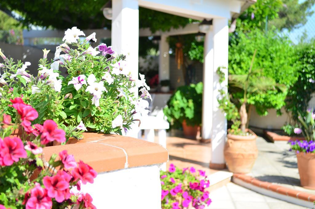 مارودجو B&B Le Vele المظهر الخارجي الصورة