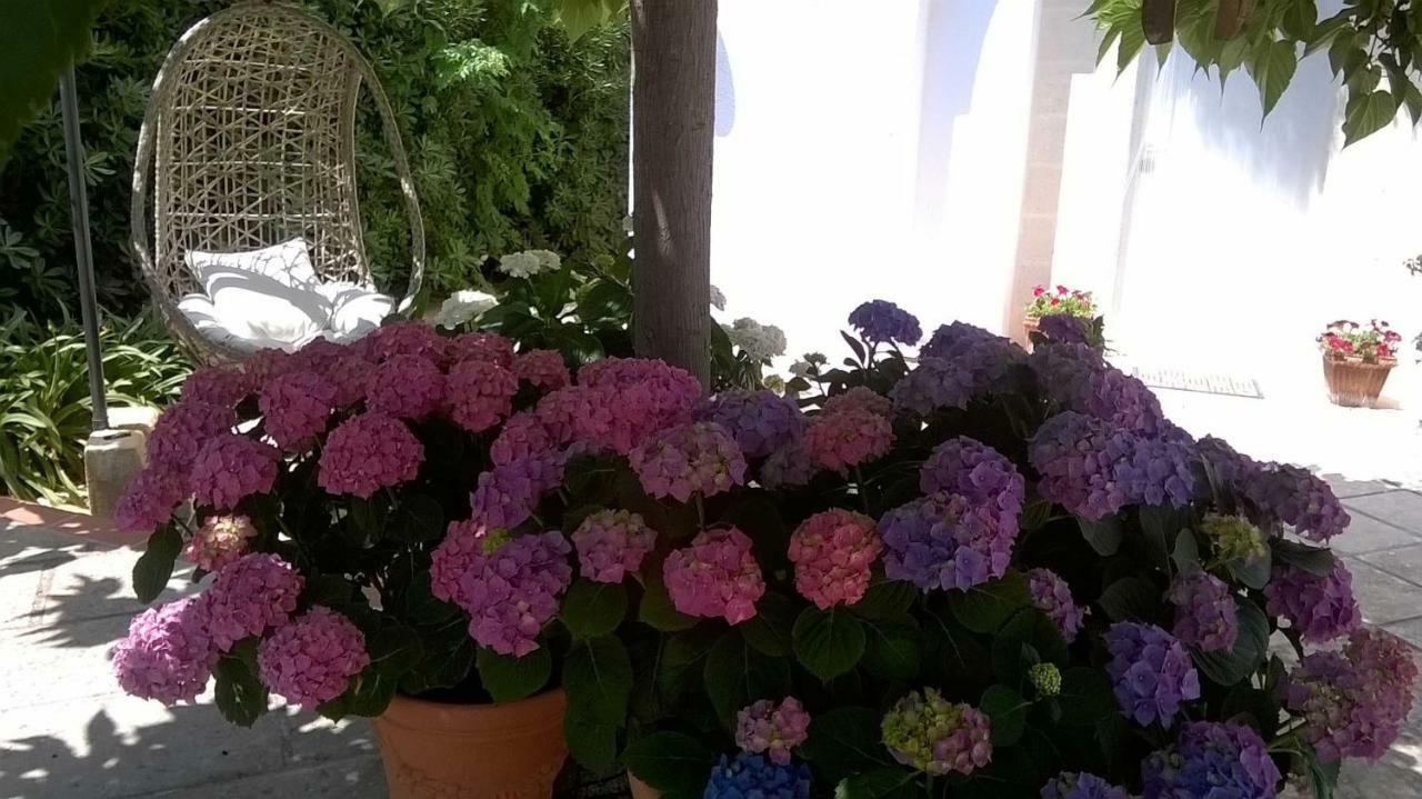 مارودجو B&B Le Vele المظهر الخارجي الصورة