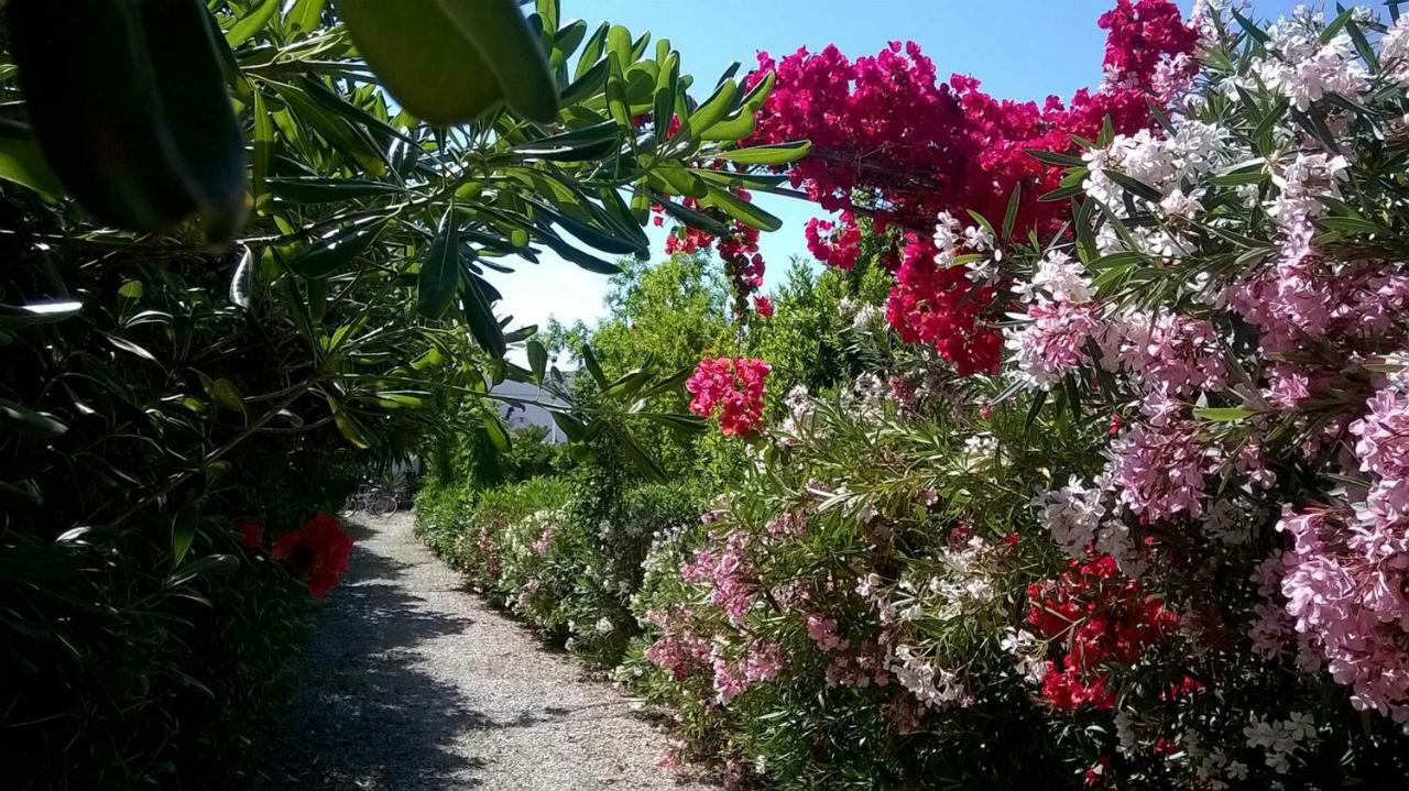 مارودجو B&B Le Vele المظهر الخارجي الصورة